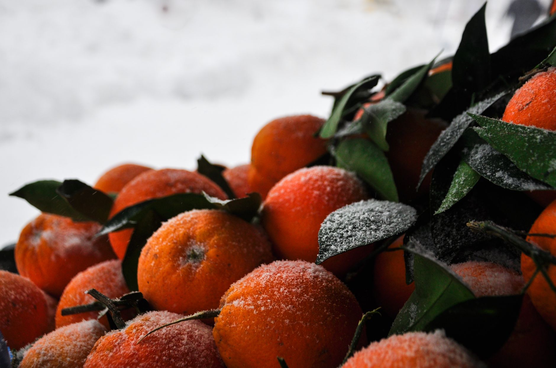 Les meilleures pratiques alimentaires pour se protéger des virus d’hiver