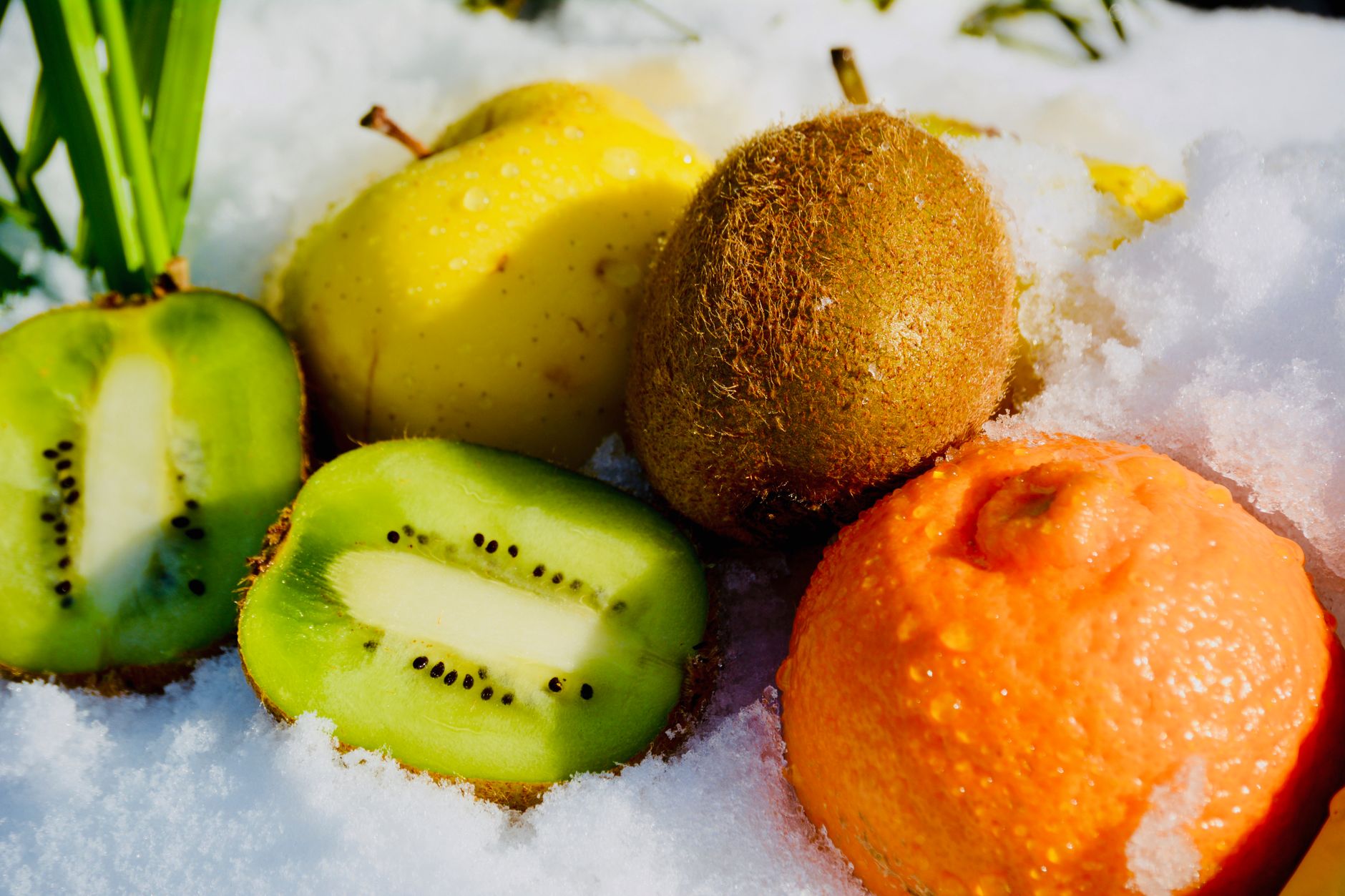Renforcez votre immunité cet hiver grâce à une alimentation adaptée