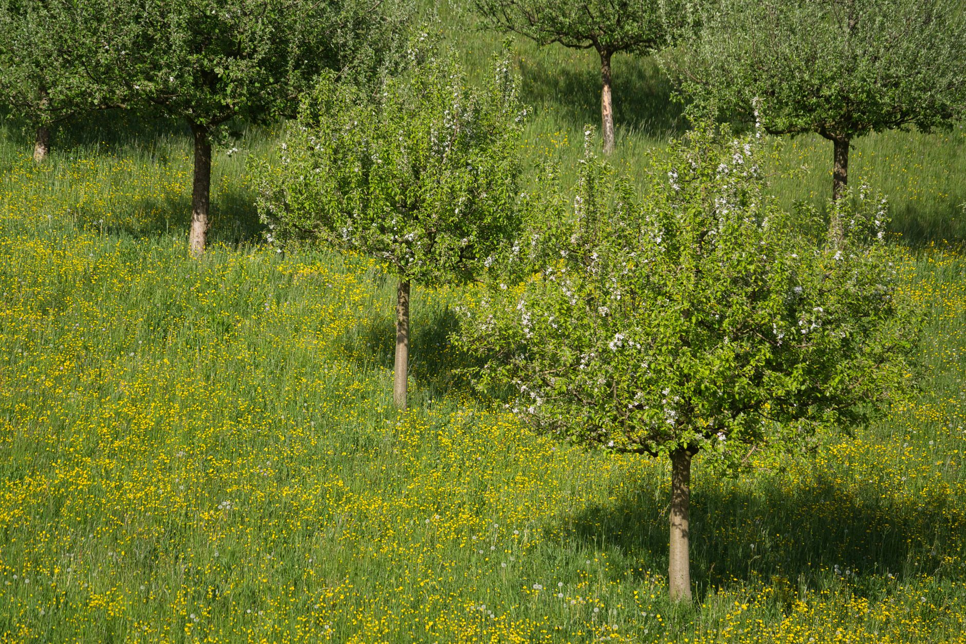 Préparez-vous pour la saison des allergies