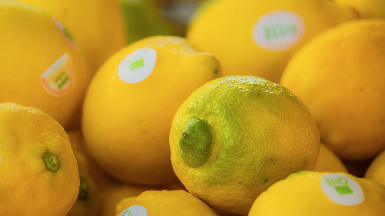 Aliments bio : comment manger sain sans exploser votre budget ?