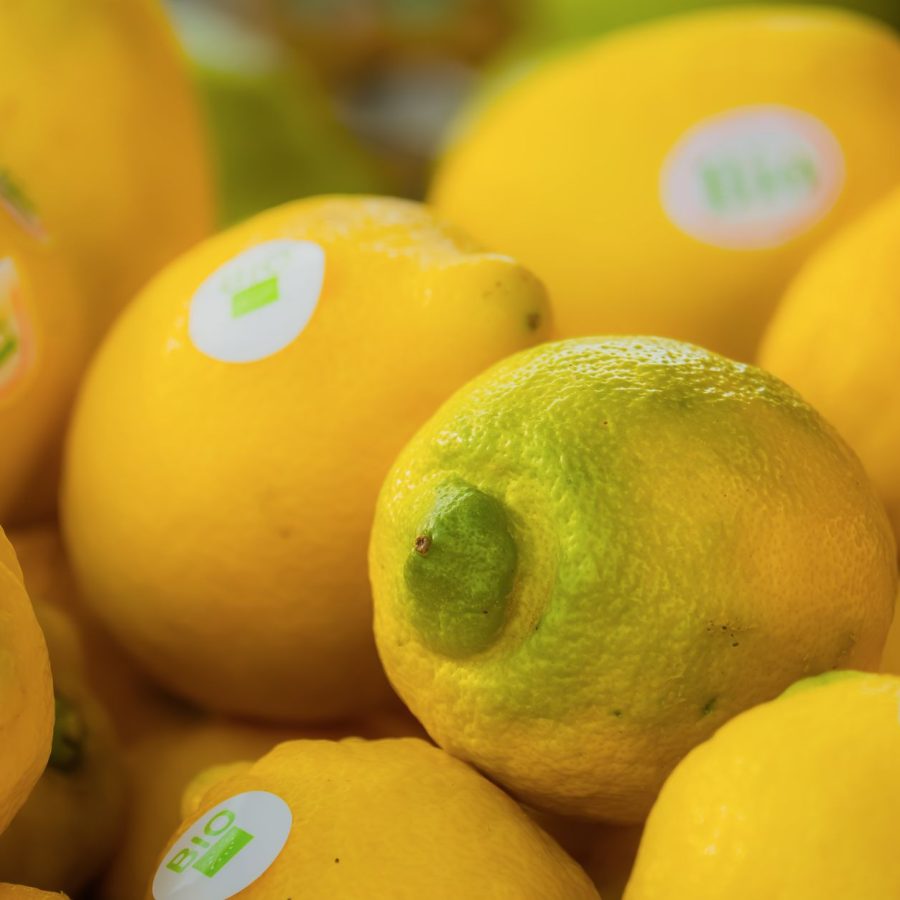 Aliments bio : comment manger sain sans exploser votre budget ?
