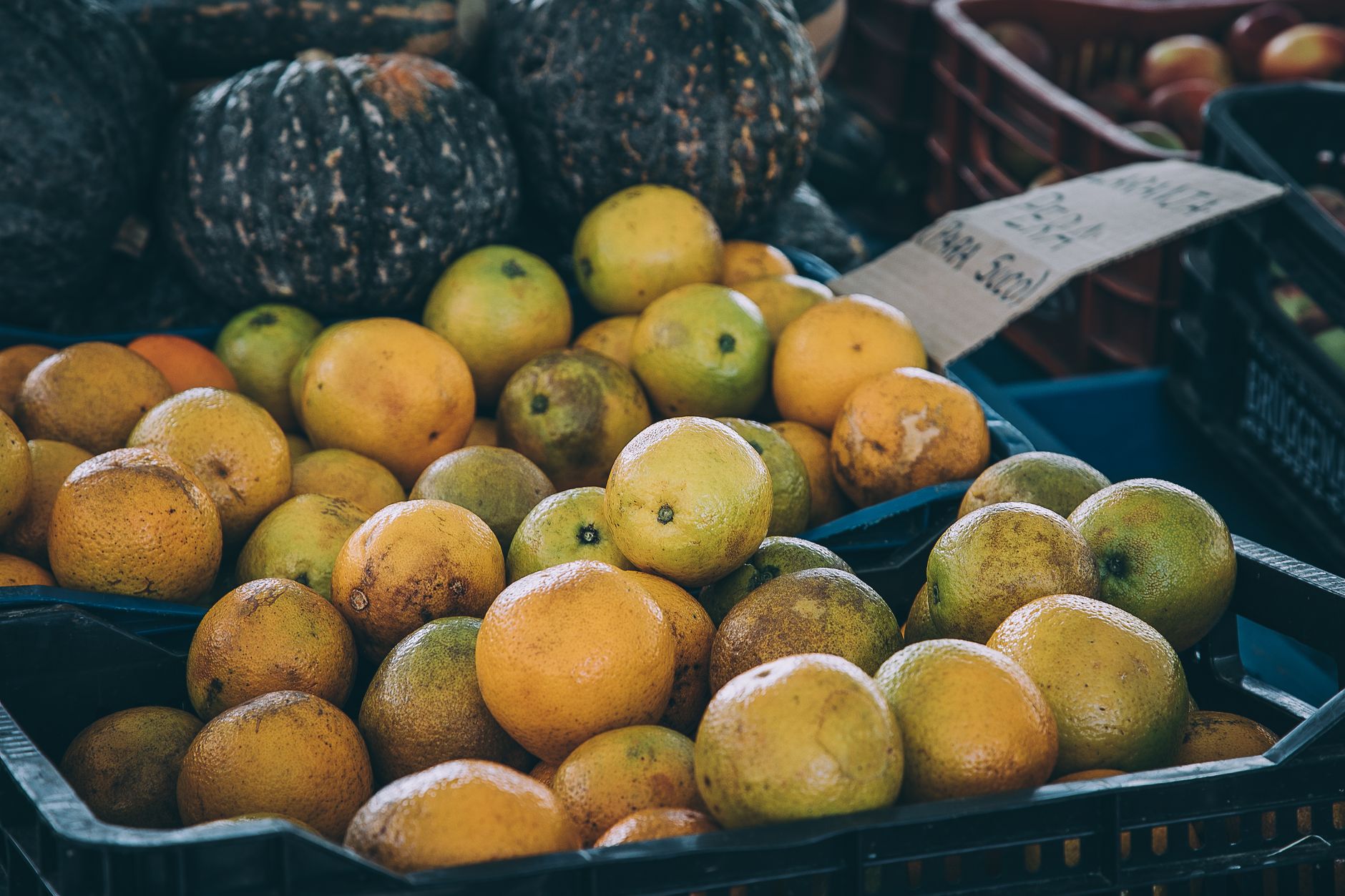 Dès le 1er septembre, explorez les marchés bio de la rentrée