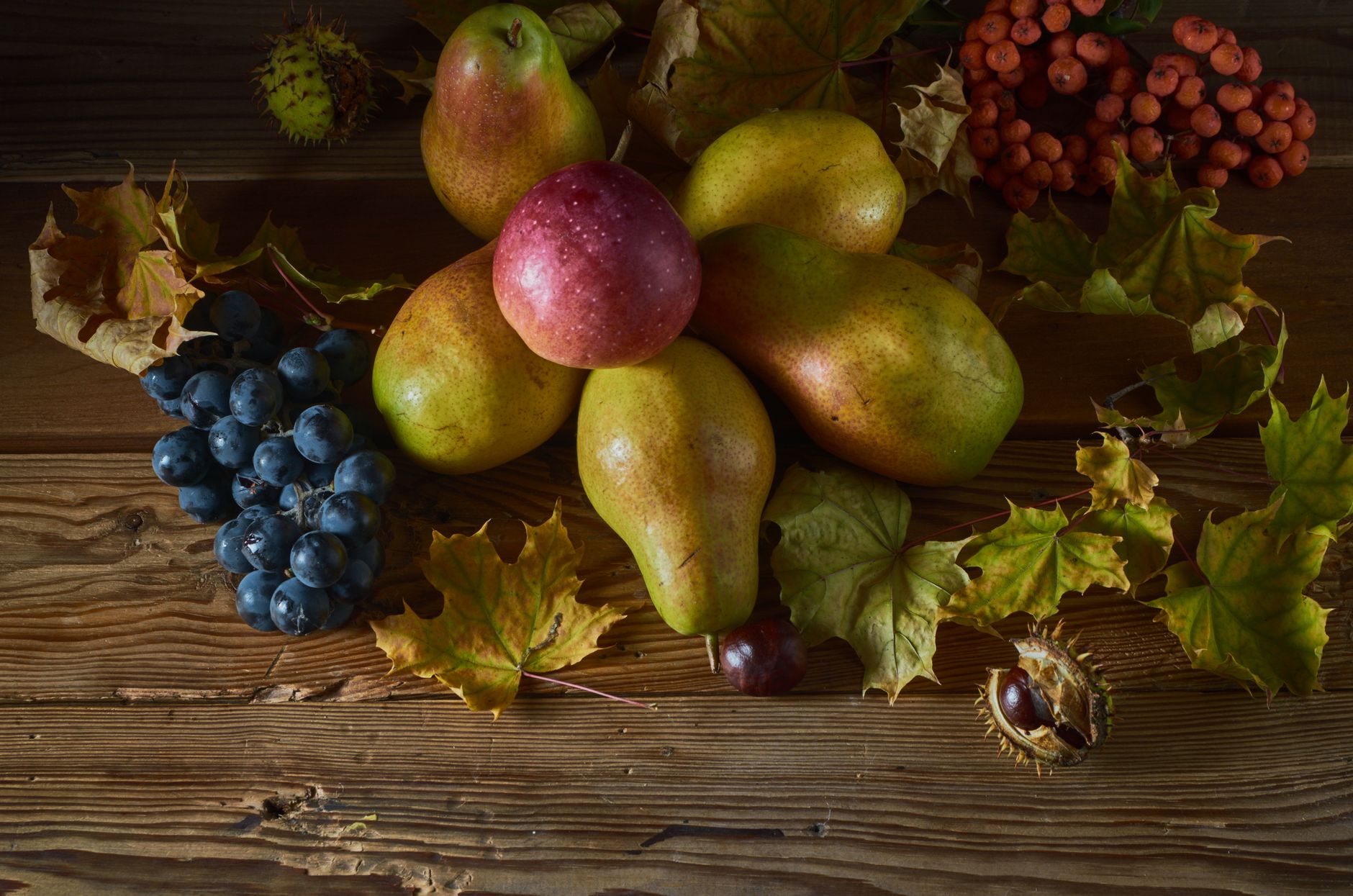 Ajuster son alimentation avec les produits de saison en automne